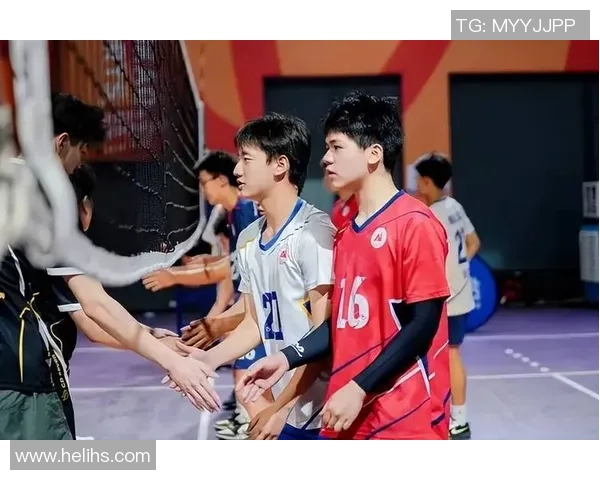 排球盛宴：深入了解成都排球队的拼搏精神与团队力量