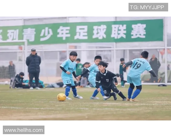 亿亿说足球：探索绿茵场上的战术智慧与球员风采的精彩旅程