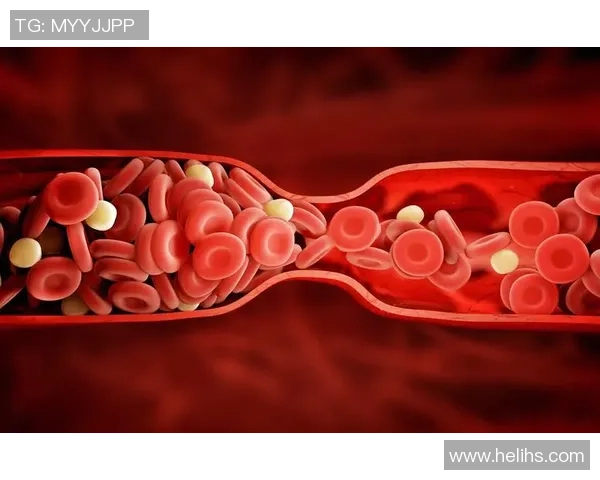 足球与心脏的奇妙联系探讨运动对心脏健康的影响与重要性